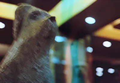 Evil Dog Statue