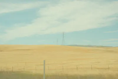 Yellow World