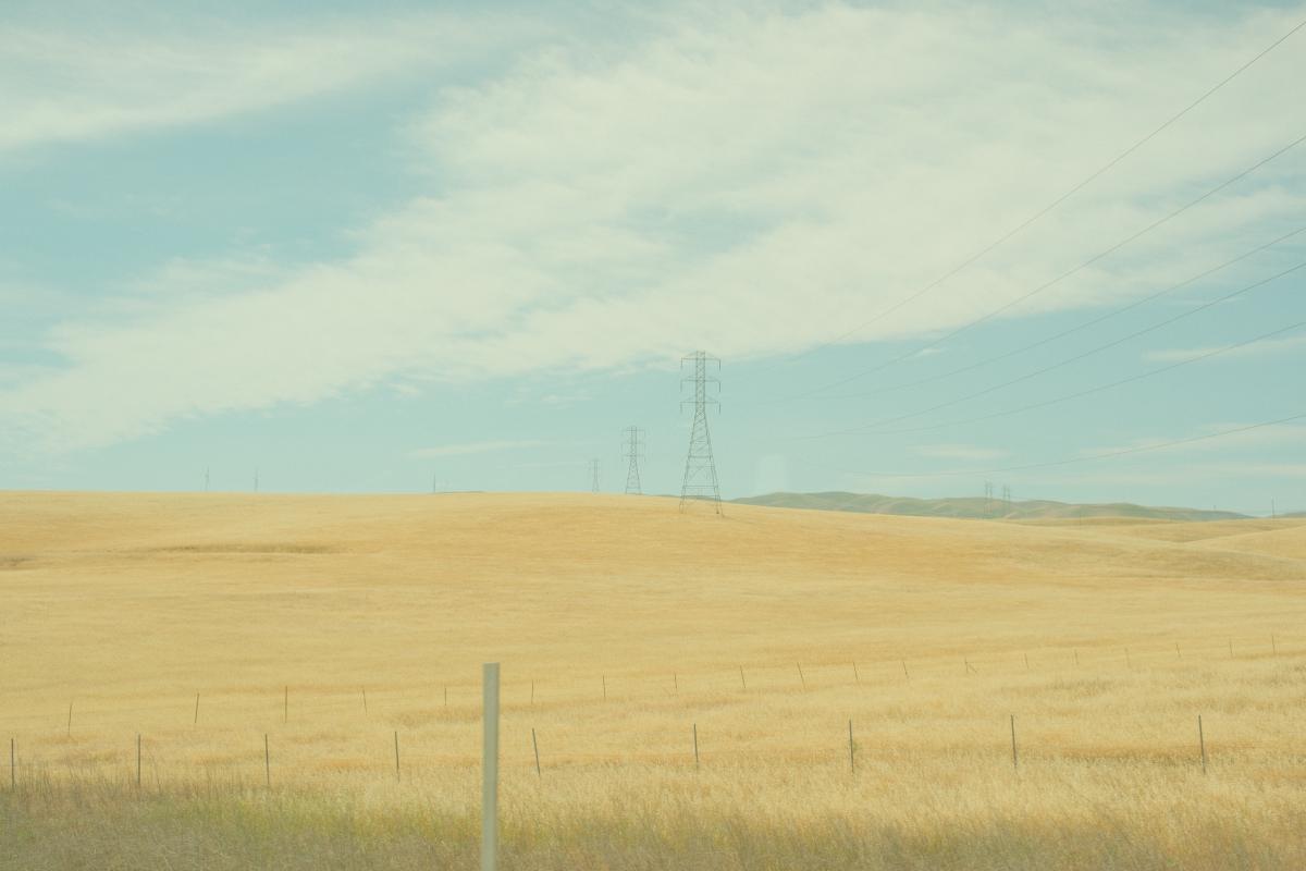 Yellow World