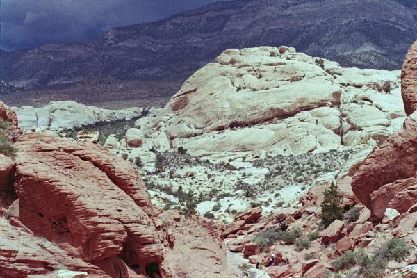 Desert Storm