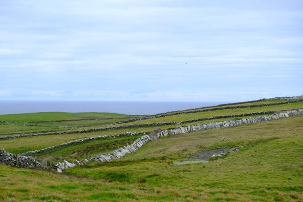 Irish Seaside